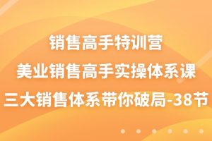 (10939期)销售-高手特训营,美业-销售高手实操体系课,三大销售体系带你破局-38节