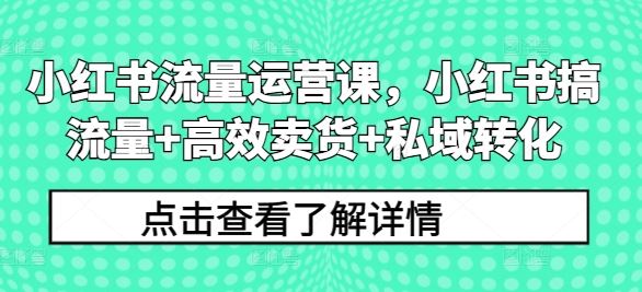 小红书流量运营课,小红书搞流量+高效卖货+私域转化