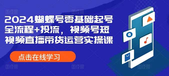 2024蝴蝶号零基础起号全流程+投流,视频号短视频直播带货运营实操课
