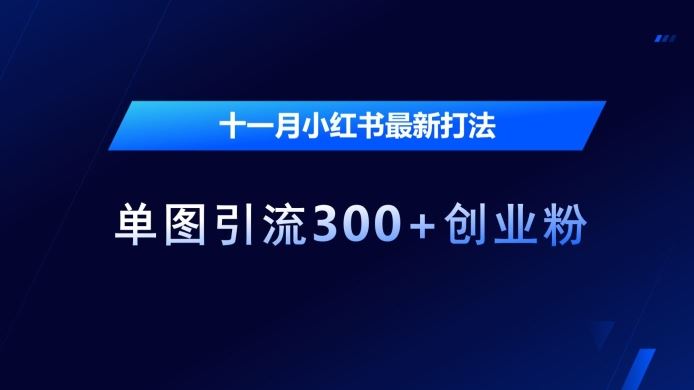 十一月小红书最新打法,单图引流300+创业粉【揭秘】