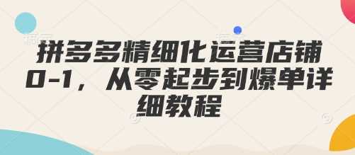 拼多多精细化运营店铺0-1,从零起步到爆单详细教程