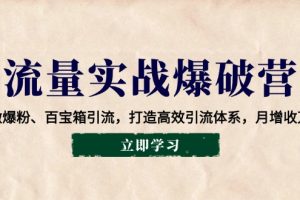 流量实战爆破营：企微爆粉、百宝箱引流，打造高效引流体系，月增收万元