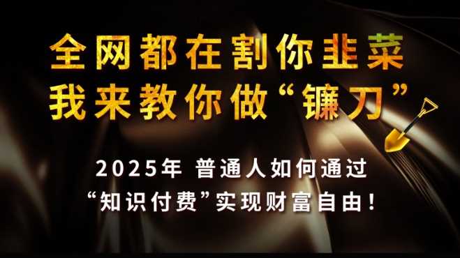 全网都在割你韭菜,我来教你做镰刀,2025普通人如何通过知识付费,实现财F自由【揭秘】