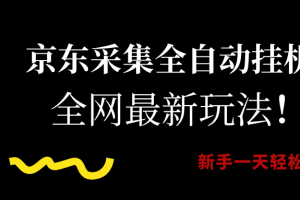 （15237期）京东采集全自动挂机，全网最新玩法，新手一天轻松500+