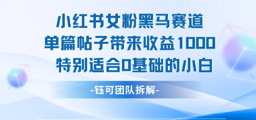 小红书女粉黑马赛道单篇帖子带来收益1k+,特别适合0基础的小白