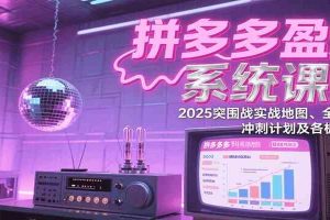拼多多盈利系统课：2025突围战实战地图、全新玩法、冲刺计划及各板块技巧（更新8月）