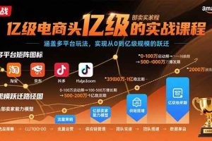 （15803期）亿级电商头部卖家的实战课程：涵盖多平台玩法，实现从0到亿级规模的跃迁