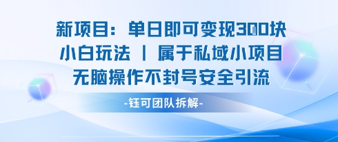 新项目单日即可变现3张的小白玩法无脑操作不封号安全引流