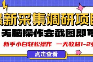 （16155期）新版采集调研项目，截图上传即可，无脑操作，日收益1-2张