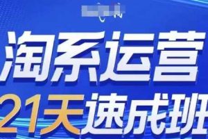 淘系运营21天速成班(更新25年12月)，0基础轻松搞定淘系运营，不做假把式