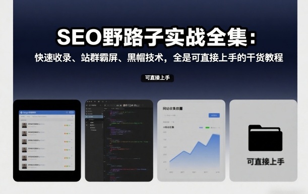 SEO野路子实战全集:快速收录、站群霸屏、黑帽技术,全是可直接上手的干货教程