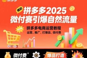 拼多多微付费引爆自然流量，拼多多电商运营教程，运营、推广、打爆品、微付费（更新26年2月）