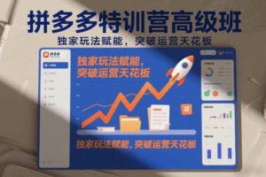 拼多多特训营高阶班，独家玩法赋能，突破运营天花板（更新26年6月17日）