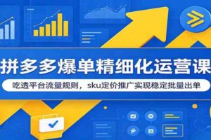 拼多多爆单精细化运营课：吃透平台流量规则，sku定价推广实现稳定批量出单
