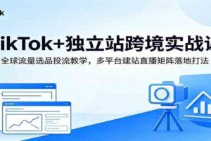 TikTok+独立站跨境实战课：全球流量选品投流教学，多平台建站直播矩阵落地打法