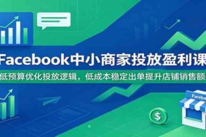 Facebook中小商家投放盈利课：低预算优化投放逻辑，低成本稳定出单提升店铺销售额