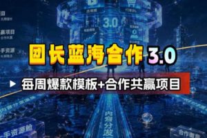 团长蓝海合作3.0，每周爆款模板+合作共赢项目
